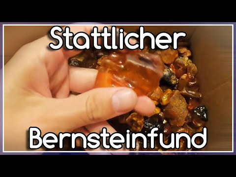 Stattlicher Bernsteinfund! Bernstein finden an der Ostsee