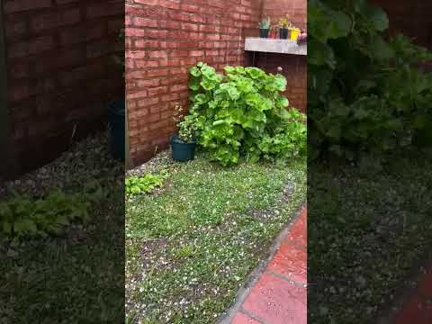 Granizo en Río Tercero