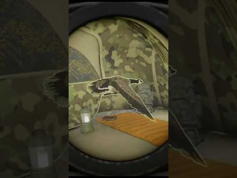 NEW! Goose Trapper Skill Unlocked😆after Revontuli Update, theHunter Call of the Wild #shorts