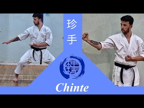 Shotokan Kata - Chinte - 珍手