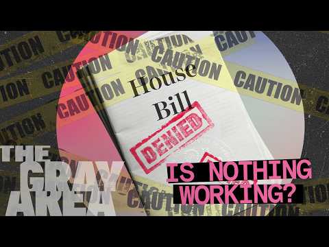 為何美國蓋東西變得如此困難？ | The Gray Area (Why building things in America has become so hard  | The Gray Area)