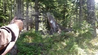 Colt Police Positive 32 S&amp;W Long, Run and Gun