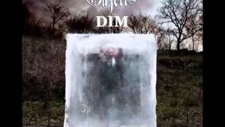 the GazettE DIM -  A Moth Under the Skin