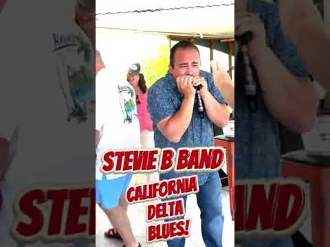 Promotional video thumbnail 2 for Stevie B Band