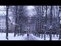 Ennai Kanavillaiye Netrodu Song With Out Music Song With The Cold Winter