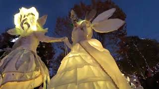 Afozic, Aperçu Vidéo