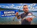 Renken Mit Spinnrute Der Vergleich