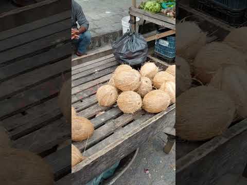 MERCADO PÚBLICO DE SALGADO DE SÃO FÉLIX-PB 22/08/2026