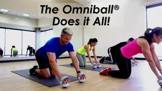 Omniball: Omnidirectional Rolling Weights (4Lbs)
