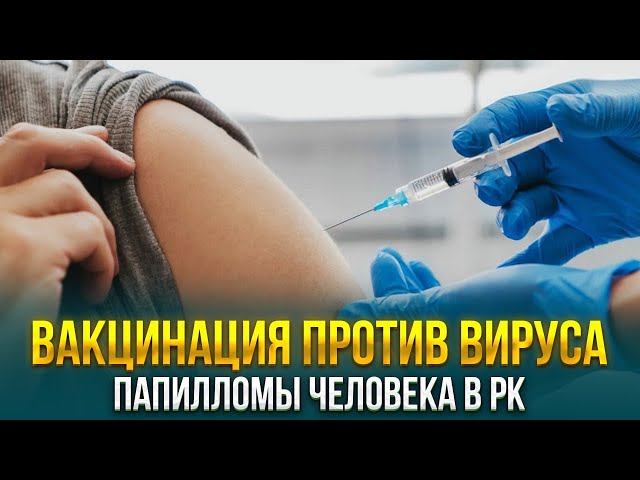 Главные новости 29.11.2023 г.