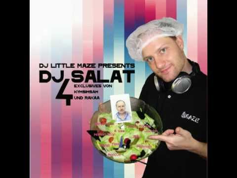 DJ SALAT Vol.4 Snippet (2008)