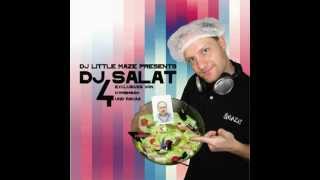 DJ SALAT Vol.4 Snippet (2008)