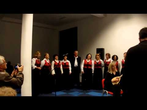 Gusarice i Mareta: O visu moj