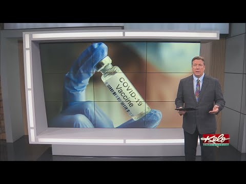 The Pfizer-BioNTech vaccine explained: What's in it and how does it work