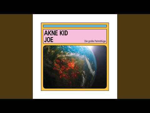 Zwischen Thermomix Und Webergrill - Akne Kid Joe