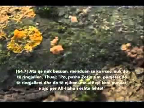 Meshari Rashid Surja Tegabun