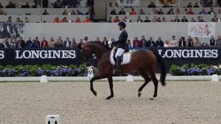 Fiontini donne naissance à une pouliche