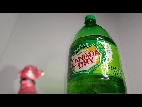 Unboxin Doxin - Canada Dry Ginger Ale Large Bottle 2 Liters