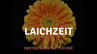 Rammstein - Laichzeit Instrumental Cover (Live version)