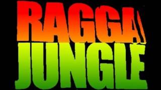 High Flow & Michael Prophet - Jah Help Them