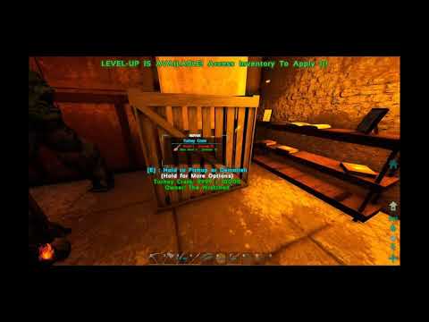 My second favorite moment of Mr. Moon's "The Gimp" series|So the turkey is in there before me?!