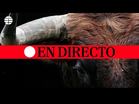 Fri July 7 2023 encierro with La Palmosilla bulls in Pamplona