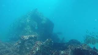 preview picture of video 'Scuba dive in vizag'