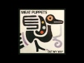 Meat Puppets - Out My Way EP (1986) [Full Album]