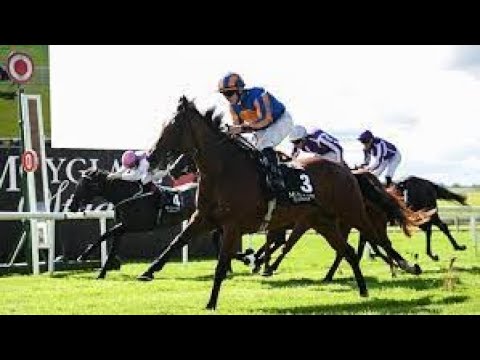 Moyglare Stud Stakes (G1) 2024