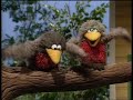 Sesame Street Counting Robins STEREO