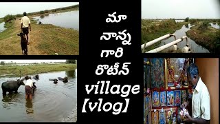preview picture of video 'Village vlog/ అమ్మ మా పిల్లల కోసం చేసిన మసాలా రైస్ విత్ ఎగ్&చికెన్//అమ్మ డైలీ రొటీన్ వర్క్'