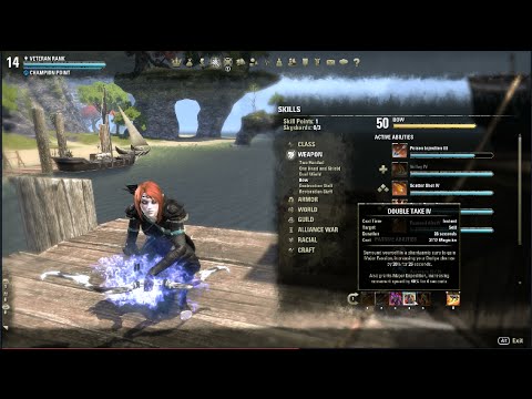 ESO Nightblade Stamina Assassin Build Dual Wield and Bow