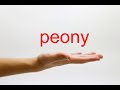 How to Pronounce peony - American English