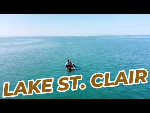 LAKE ST. CLAIR Musky SMACKDOWN in 4K!