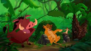 Digga Tunnah Music Video