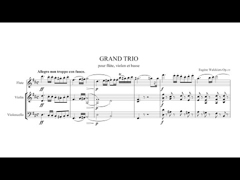 Eugène Walckiers – Grand Trio for Flute, Violin and Cello, Op.35