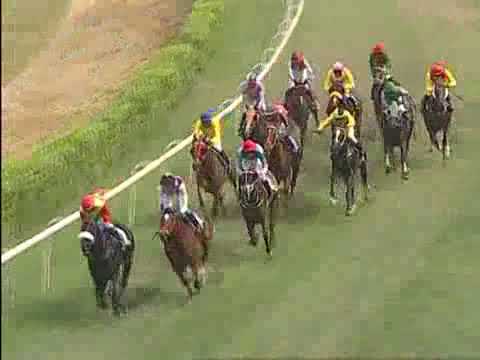 The Cupid Handicap Div-1  winner DANCING PRINCE