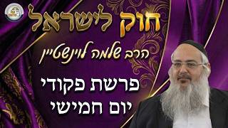 חוק לישראל - פרשת פקודי - יום חמישי | הרב שלמה לוינשטיין (ארגון קול הלשון) - התמונה מוצגת ישירות מתוך אתר האינטרנט יוטיוב. זכויות היוצרים בתמונה שייכות ליוצרה. קישור קרדיט למקור התוכן נמצא בתוך דף הסרטון