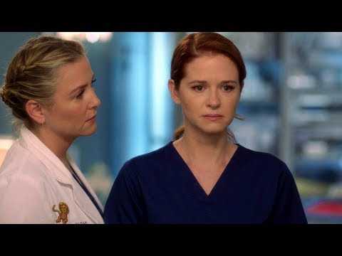 Arizona Robbins 14x10