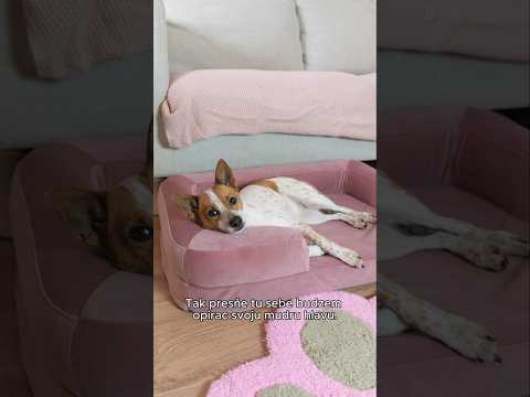 Naša zabijácka princezná ešte nemala luxusnejší pelech Na lebeddie.com zľavový kód pampi15