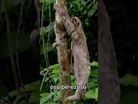 #naturaleza #antioquia #ecoturismo #turismo #colombia #mutata