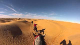 preview picture of video 'gopro cavallo deserto parziale'