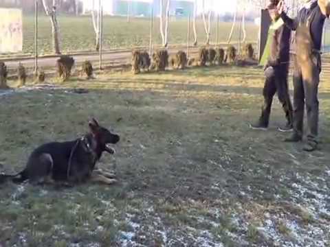 GRIM Suché Lazce obrana zima 2016