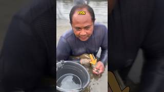 Download lagu #jeevansakshi mp3