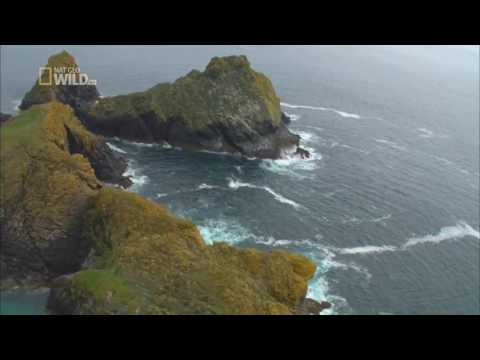 The CHEROKEE  Brave hearts