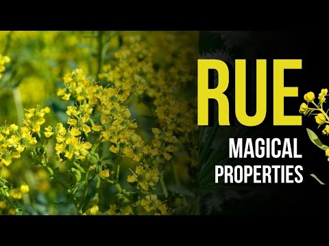 Rue Magical Properties