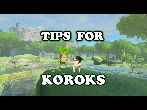 Tips for Koroks - Tears of the Kingdom