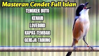 Download lagu SUARA BURUNG CENDET ISIAN TENGKEK BUTO KENARI LOVEBIRD KAPAS TEMBAK GEREJA TARUNG mp3
