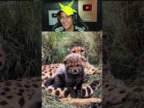 VÍDEO MAIS LINDO DE HOJE!