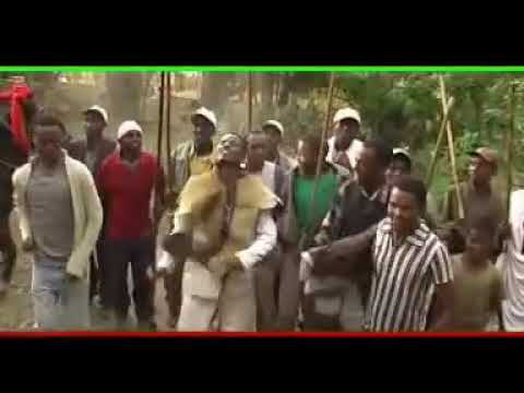 Asaffaa sharo lammii ,Bosiyyoo nugusee,